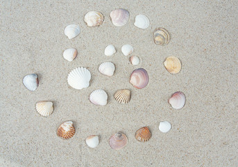 Naklejka na ściany i meble beautiful sea shells on sand