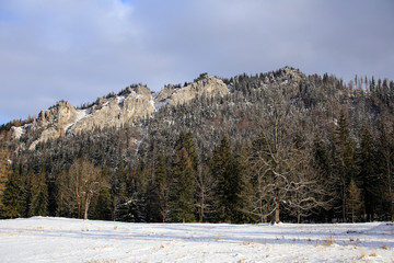 A view over the high mountains ot Tatras with slopes covered with mountains spruce forests in the winter