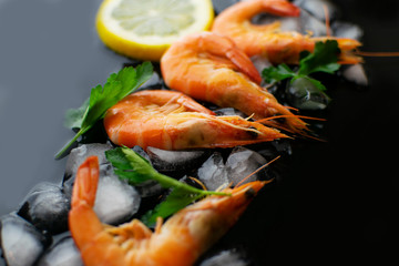 Sea food on dark background