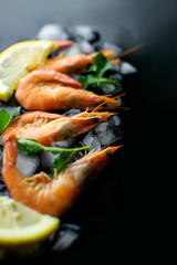 Sea food on dark background