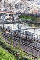 夕方の東京都千代田区市ヶ谷の線路沿いに咲く桜