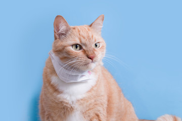 cute red cat in a white children's medical protective mask on a blue background copy space, veterinary medicine and treatment of pets, coronavirus and quarantine 2020