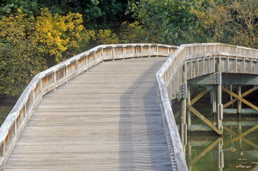 Fototapeta na wymiar Walking bridge on Roosevelt Island, Washington, DC