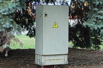 one large metal electric gray box stands outside by a green spruce conifer in a park