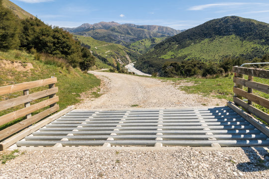 gravel road with catlle stop accross hilly farmland in New Zealand