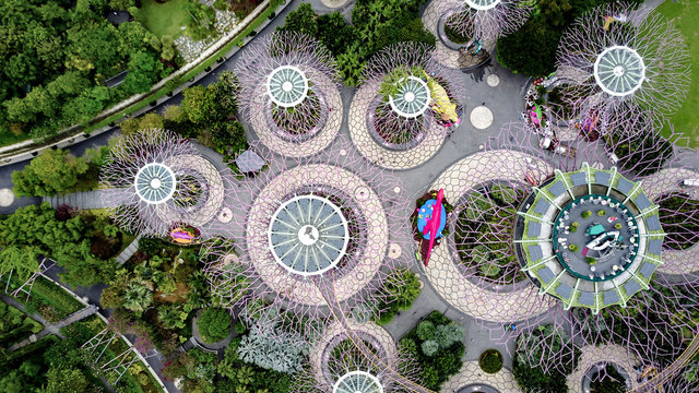 Aerial photo of gardens by the bay in Singapore during the day, top attraction for tourists.  