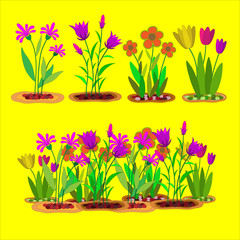  Flowers bloom in the garden