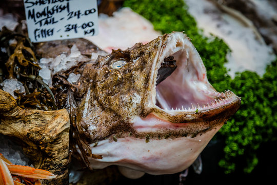 Monkfish at the market