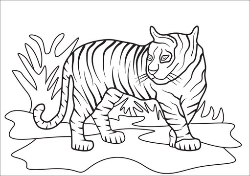 Coloring book Tiger at the zoo