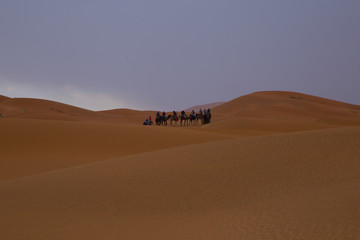 Desert Morocco