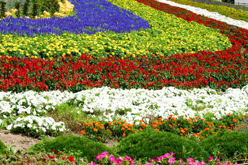 ぜるぶの丘の花畑