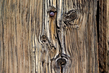 Old weathered wood with knots and nailhead