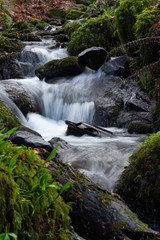 fast water flowing down the small river after heavy rainfall