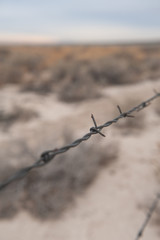 Barbed wire fence in a desert landscape.
