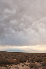 Desert landscape under a stormy sky in Nevada