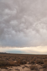 Naklejka premium Desert landscape under a stormy sky in Nevada