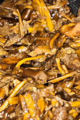 Craterellus tubaeformis