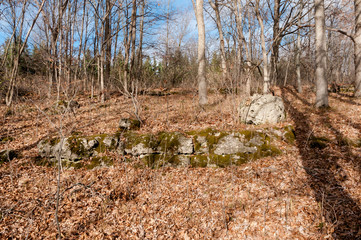Rocky dolomite outcropping on the Niagara Escarpment at Ledge View Nature Center, Chilton, WI