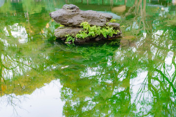 Fototapeta na wymiar 東京都千代田区九段の日本庭園の池の岩
