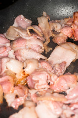 Craterellus tubaeformis