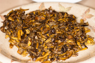 Craterellus tubaeformis