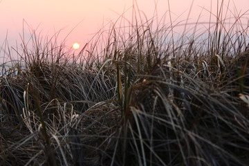 Fototapeta premium 潟上市 夕暮れ
