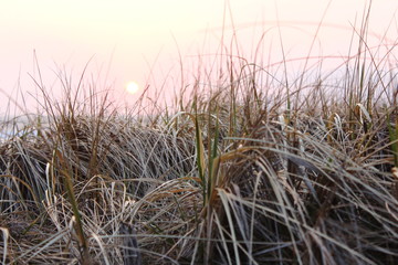 Fototapeta premium 潟上市 夕暮れ