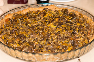 Craterellus tubaeformis