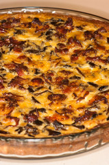 Craterellus tubaeformis