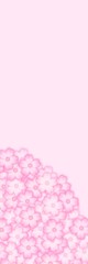 Cherry blossom background material　桜の花の背景素材