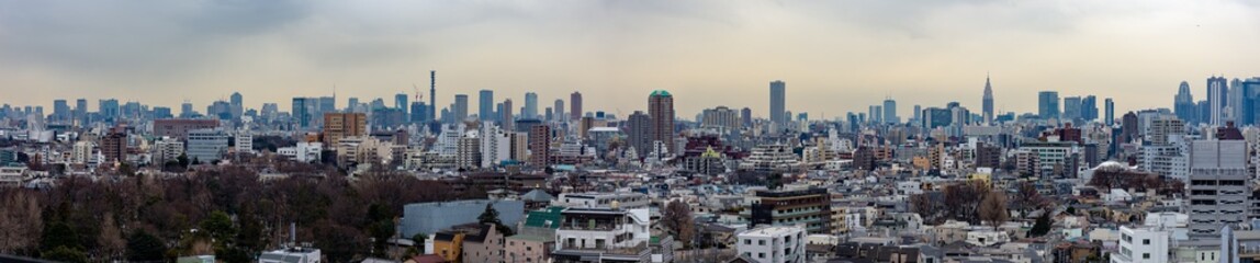 Fototapeta na wymiar Cityscape in Tokyo Japan 