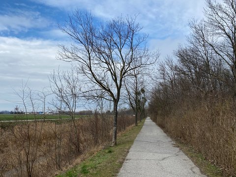 perspective scene, road in the forest, expore nature, road to perdition, road to freedom, walk alone, nobody around