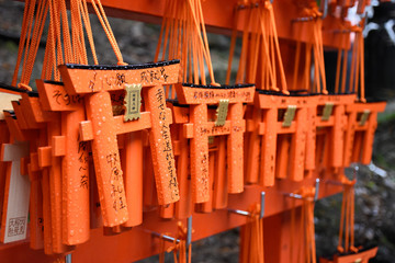 Torii gates at Fushimi Inari Shrine