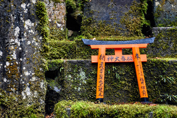 Torii sitting on moss at Fushimi Inari Shrine