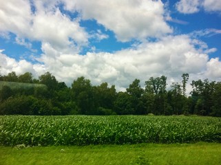 green field and blue sky, lush grass, clouds and sky, cloudy, on the road, railroad pictures, meadow, horizon trees, corn field