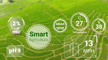 Smart digital agriculture technology by futuristic sensor data collection management by artificial...