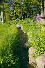 Creek runs through spring foliage at Taft Ranch, Centennial Valley near Lakeview, MT