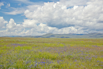 Spring grasslands and mountains in Centennial Valley near Lakeview, MT