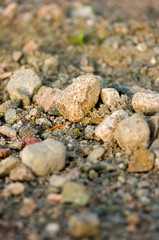 Rocks