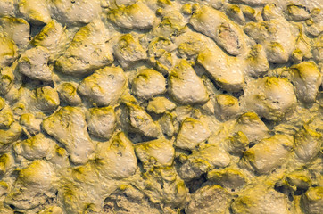 Rocks