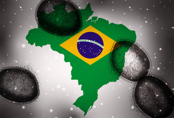 ブラジル　コロナ　ウイルス　背景