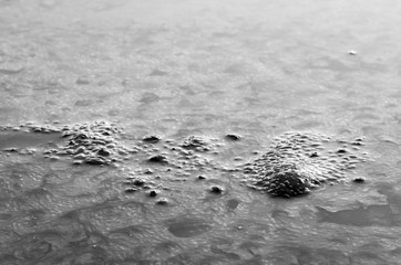 Rocks