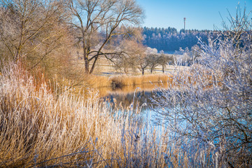 Winter in the Eifel forests,Germany