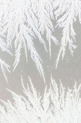 Frozen