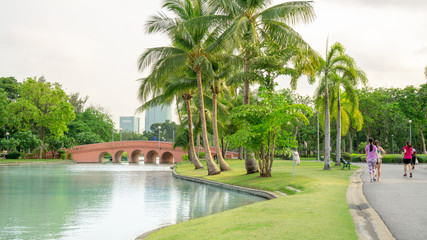 Beautiful garden in Chatuchak park Bankok Thailand, fresh green grass lawn yard under coconut palm...
