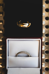 Beautiful portrait of wedding rings