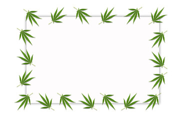 Fototapeta na wymiar Frame with Cannabis leaves. Background with marijuana isolated on white background. Copy space. green cannabis leaf drug marijuana herb Background.