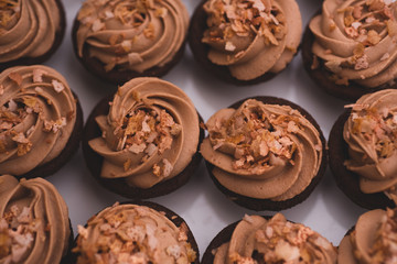 Delicious Chocolate square baked cupcakes close up