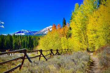 hiking in the mountains in autumn