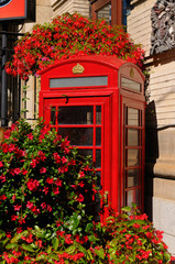 Fototapeta na wymiar Old red telephone box or booth surrounded by red flowers in Toronto
